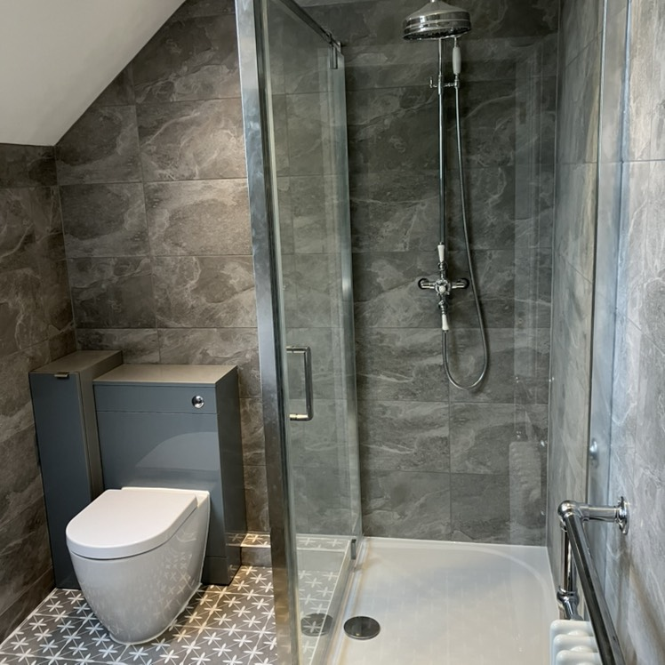 Modern integrated toilet with shower install
