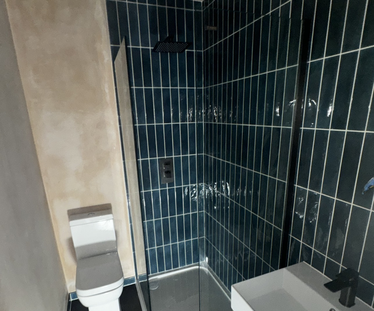 Toilet and shower install with dark tile