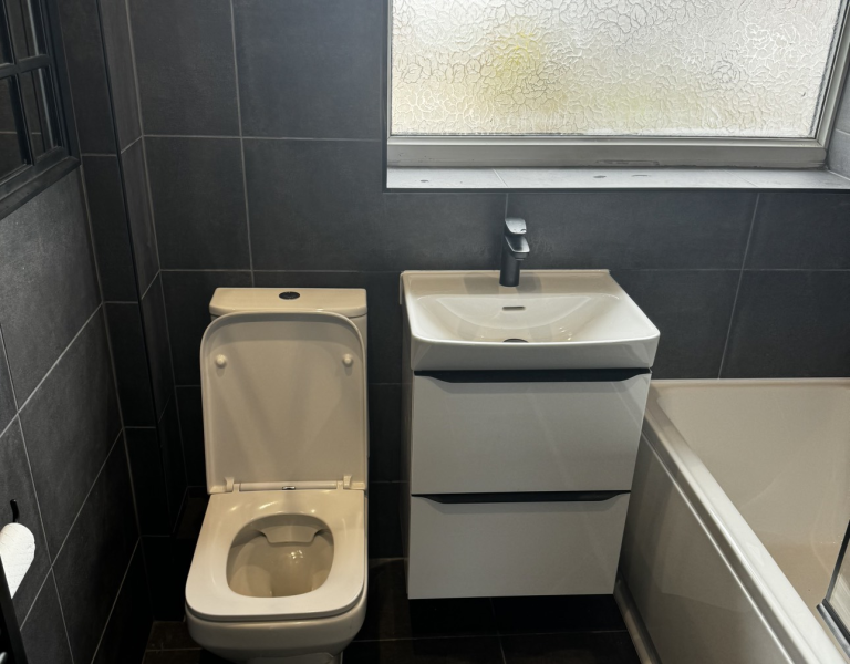 Toilet and sink installation