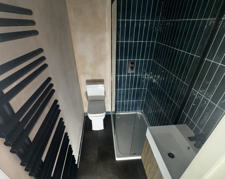Toilet, Shower, Sink and Heating install with dark tile