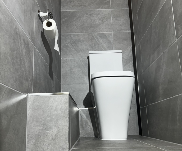 Large Modern Toilet Install